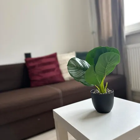 Stylish Right In The Heart Of Apartman