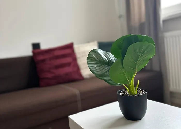 Stylish Right In The Heart Of Apartman